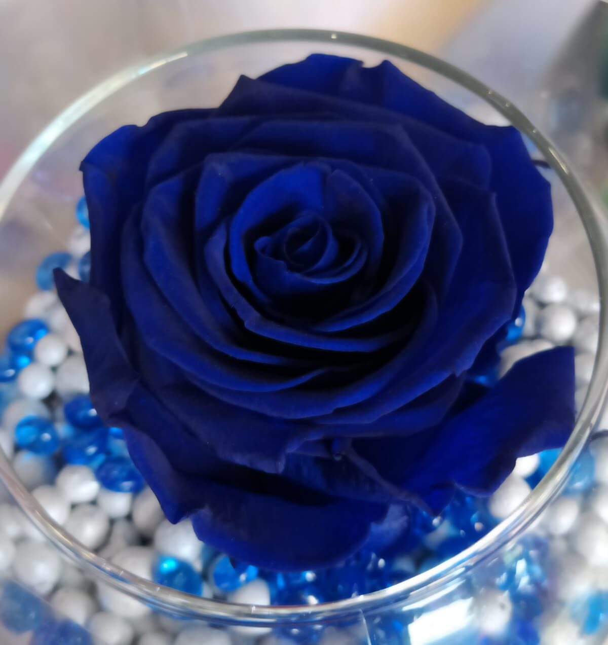 Rosa Stabilizzata Blu Metallizzato La Boite - Idea Fiori